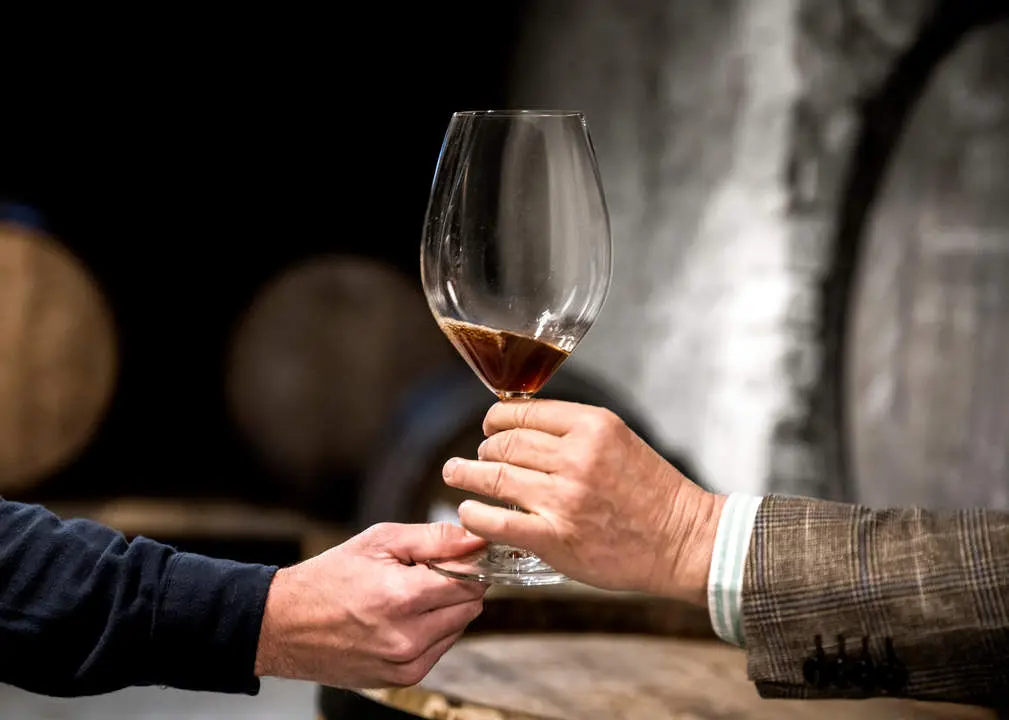 Cata de Vinos Archivo