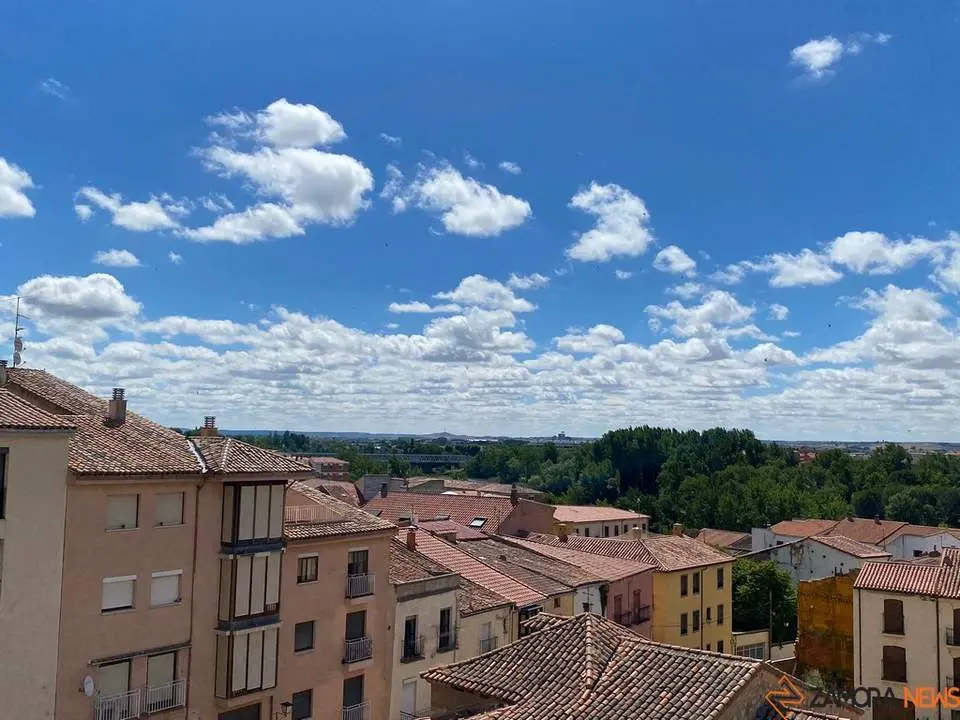 Zamora tiempo