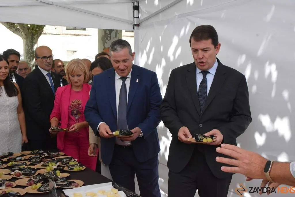 Ambiente FromagoCheeseExperience_18