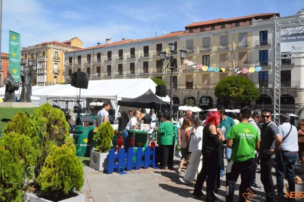 Ambiente FromagoCheeseExperience_61