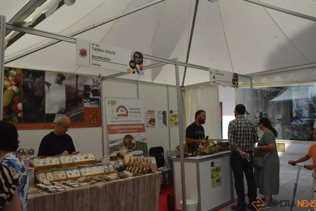 Ambiente FromagoCheeseExperience_86