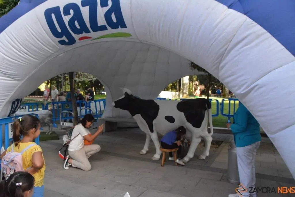 Ambiente FromagoCheeseExperience_7