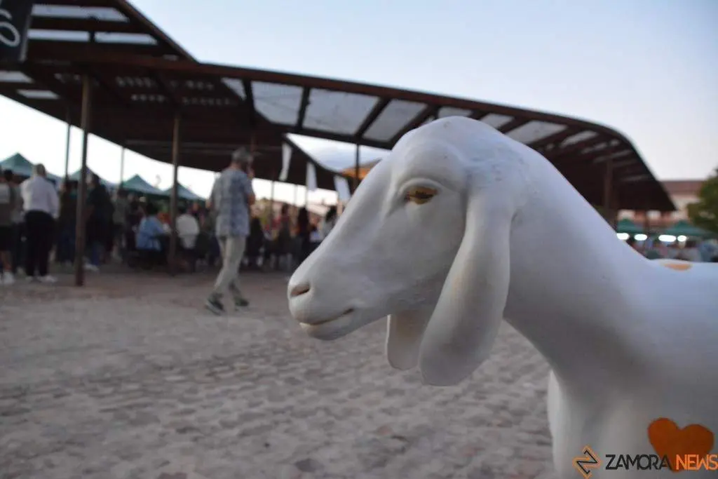 Ambiente FromagoCheeseExperience_58