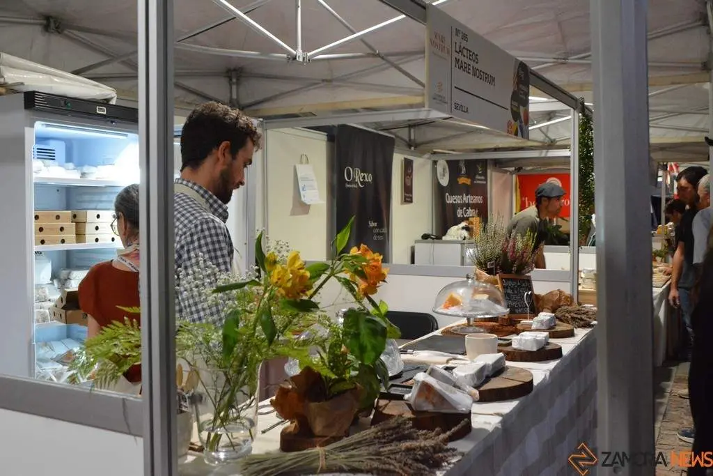 Ambiente FromagoCheeseExperience_74