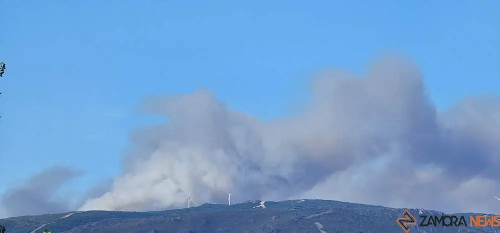 fuego tejera