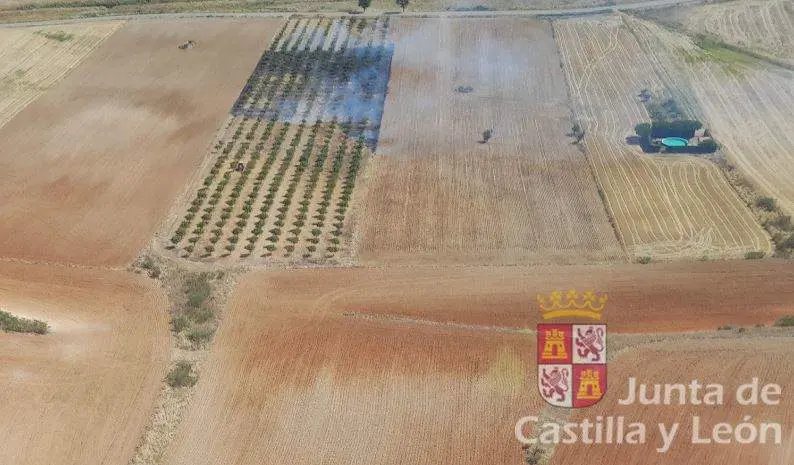 Incendio Torres del Carrizal