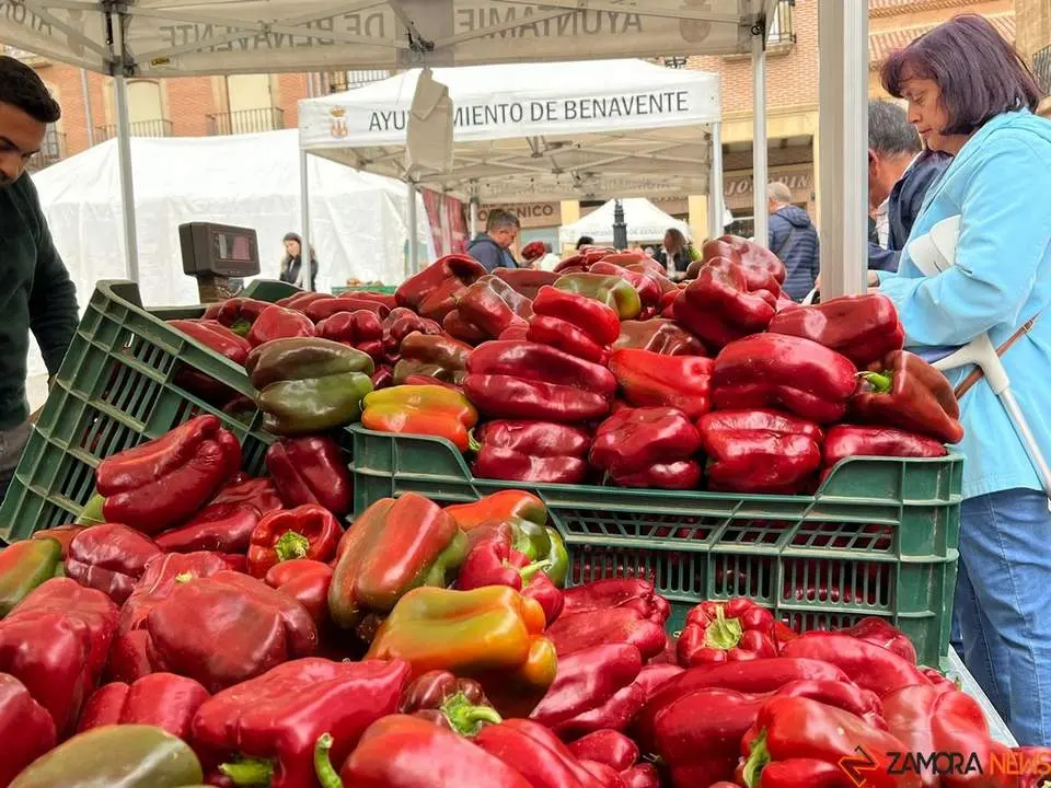 Feria del Pimiento en Benavente