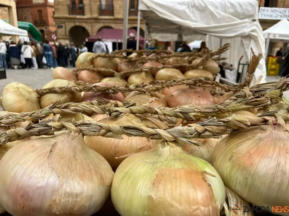 Feria del Pimiento en Benavente_2