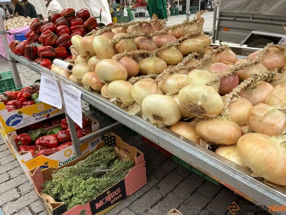 Feria del Pimiento en Benavente_3