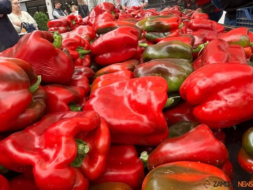 Feria del Pimiento en Benavente_7