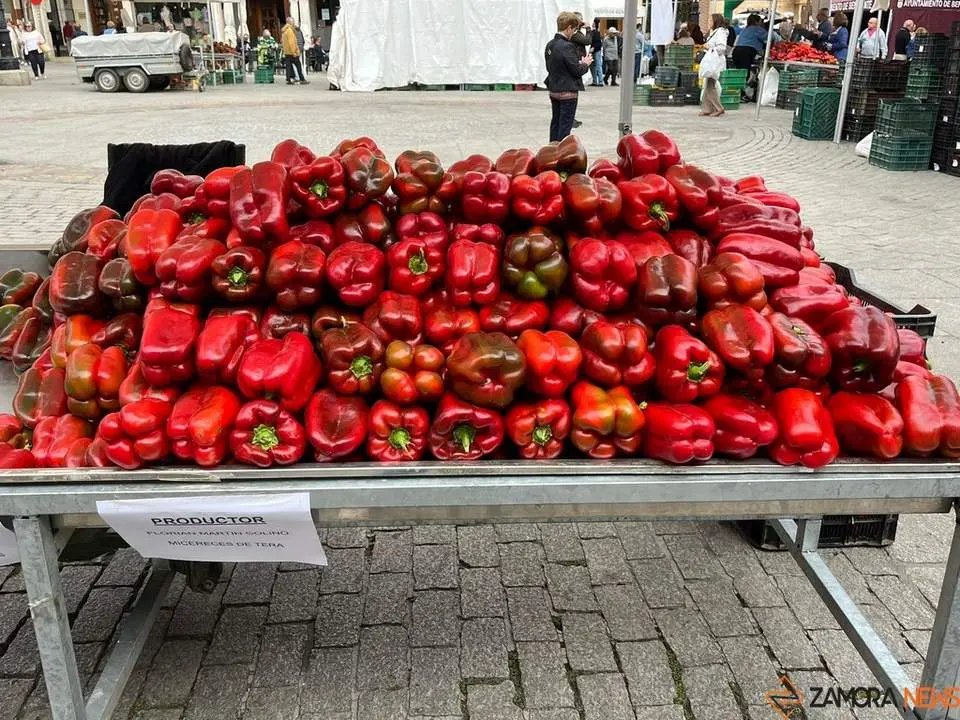 Feria del Pimiento en Benavente_8