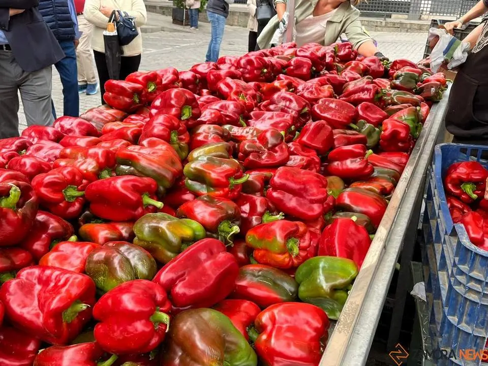 Feria del Pimiento en Benavente_9