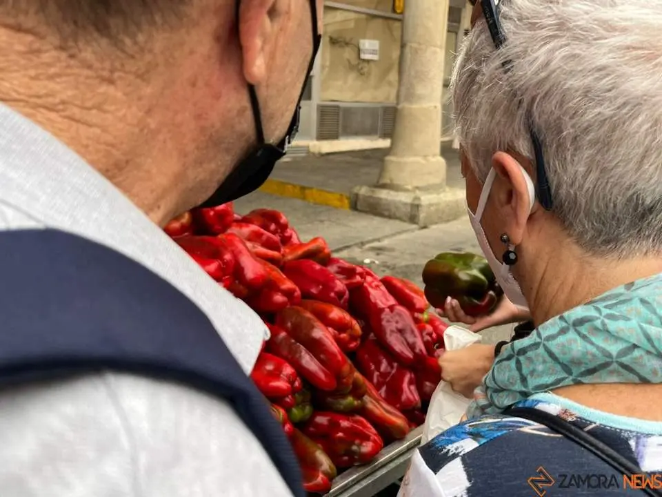 Feria del Pimiento en Benavente_10