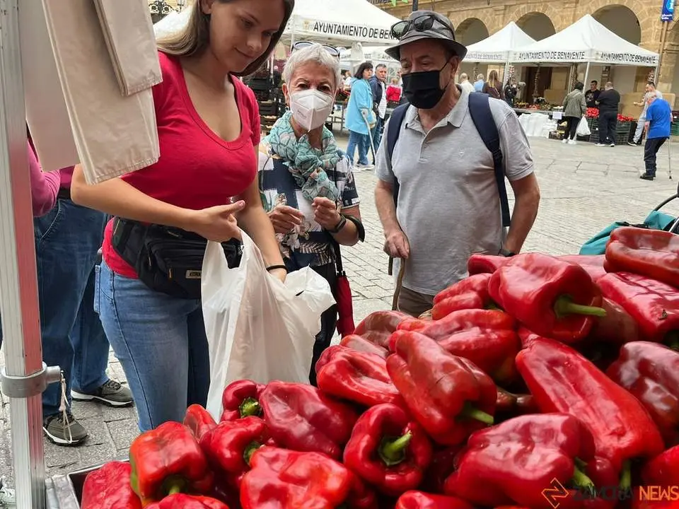 Feria del Pimiento en Benavente_11