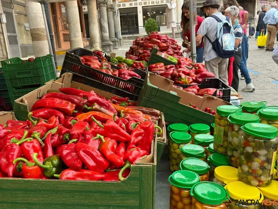 Feria del Pimiento en Benavente_13