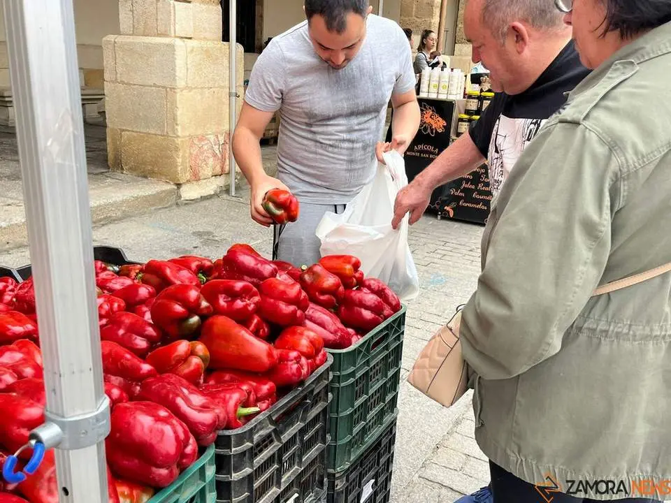 Feria del Pimiento en Benavente_14