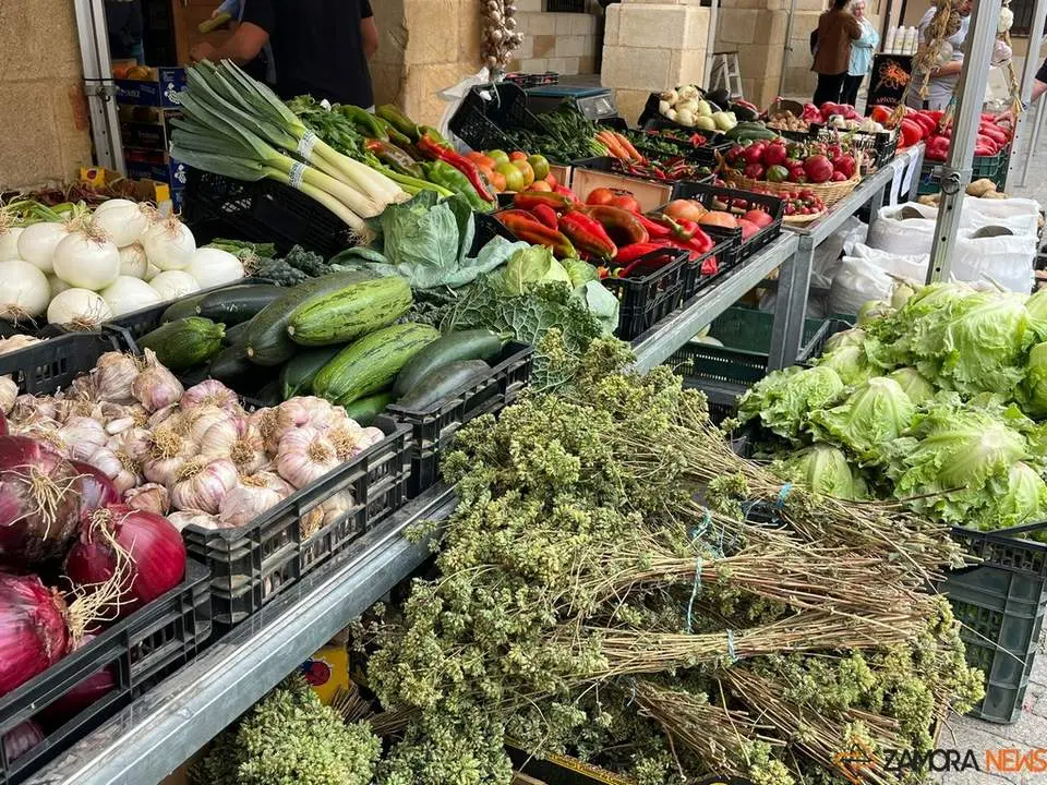 Feria del Pimiento en Benavente_15