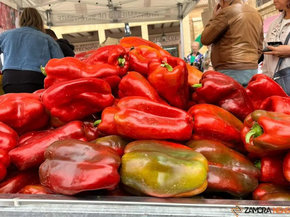 Feria del Pimiento en Benavente_16