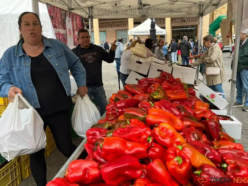 Feria del Pimiento en Benavente_17