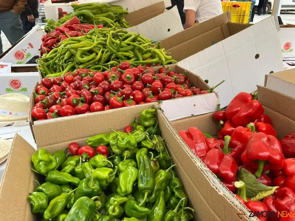 Feria del Pimiento en Benavente_20