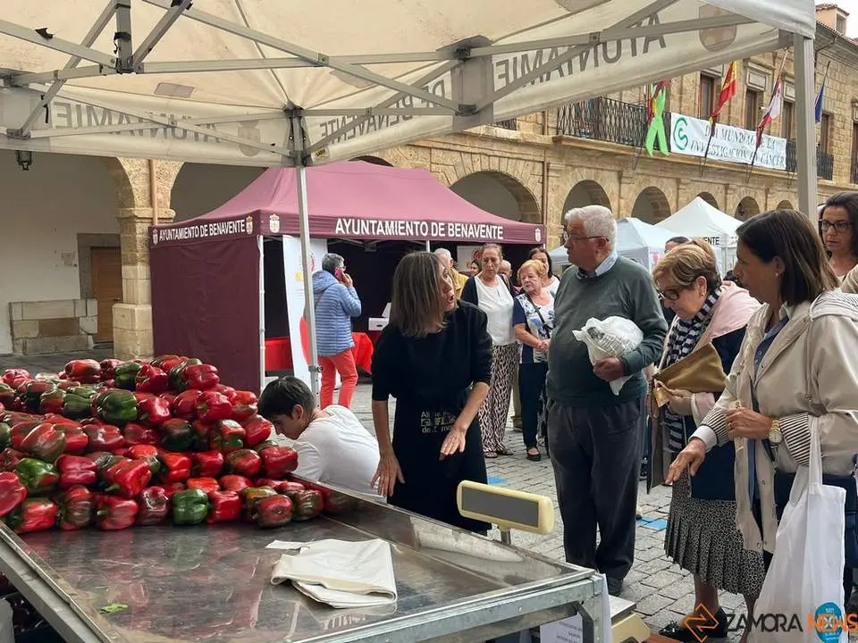 Feria del Pimiento en Benavente_22