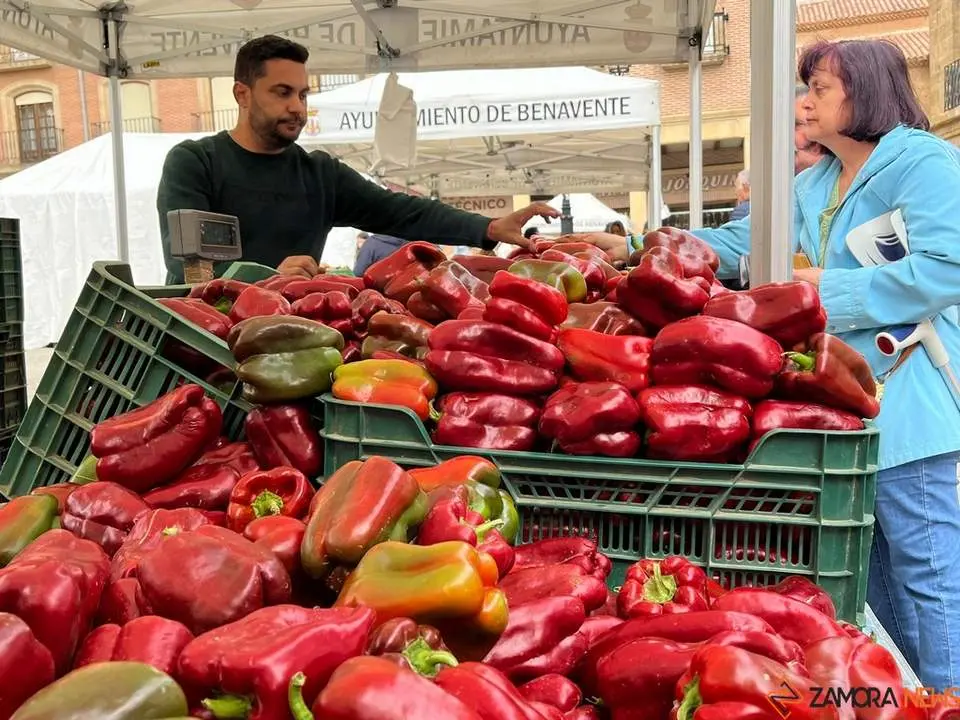Feria del Pimiento en Benavente_23