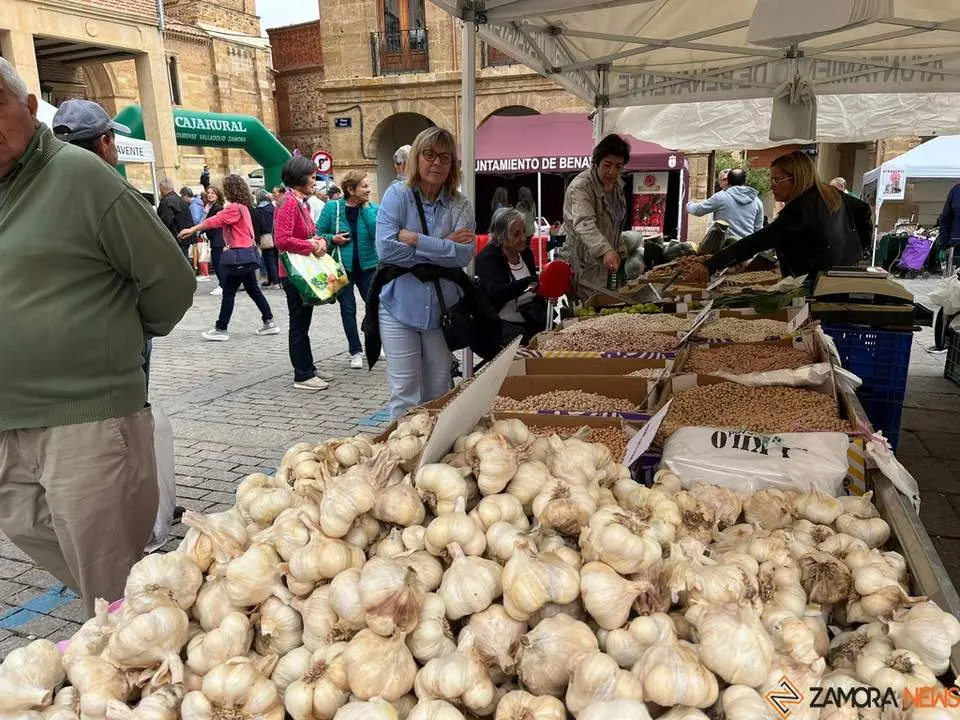 Feria del Pimiento en Benavente_24