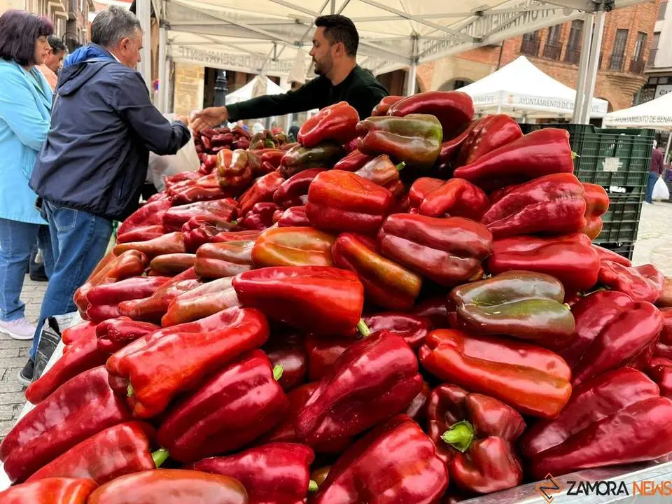 Feria del Pimiento en Benavente_26