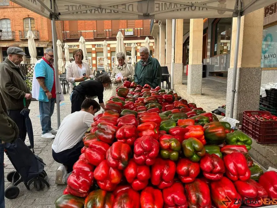 Feria del Pimiento en Benavente_27