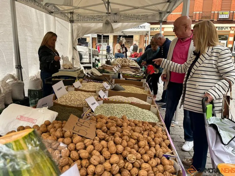 Feria del Pimiento en Benavente_28