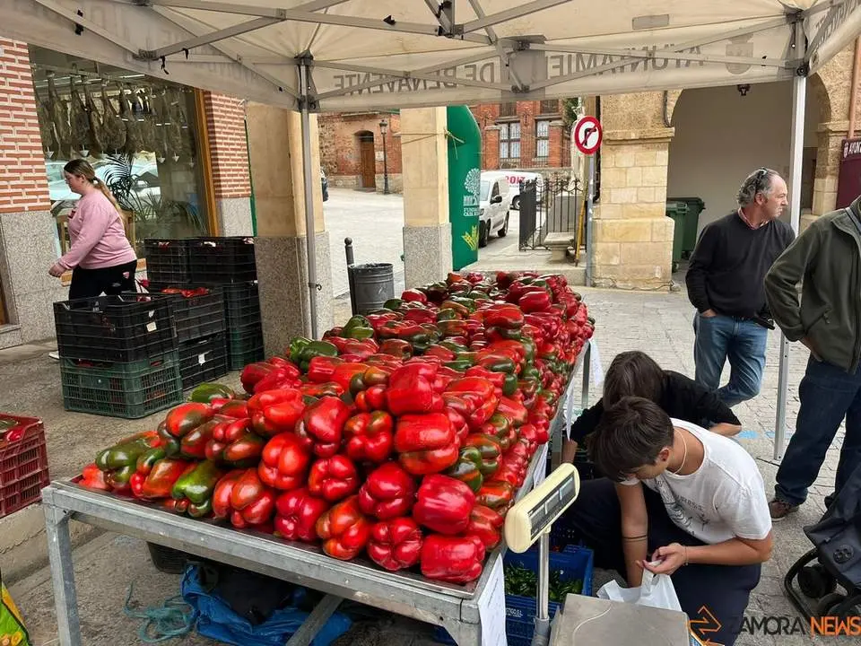 Feria del Pimiento en Benavente_29