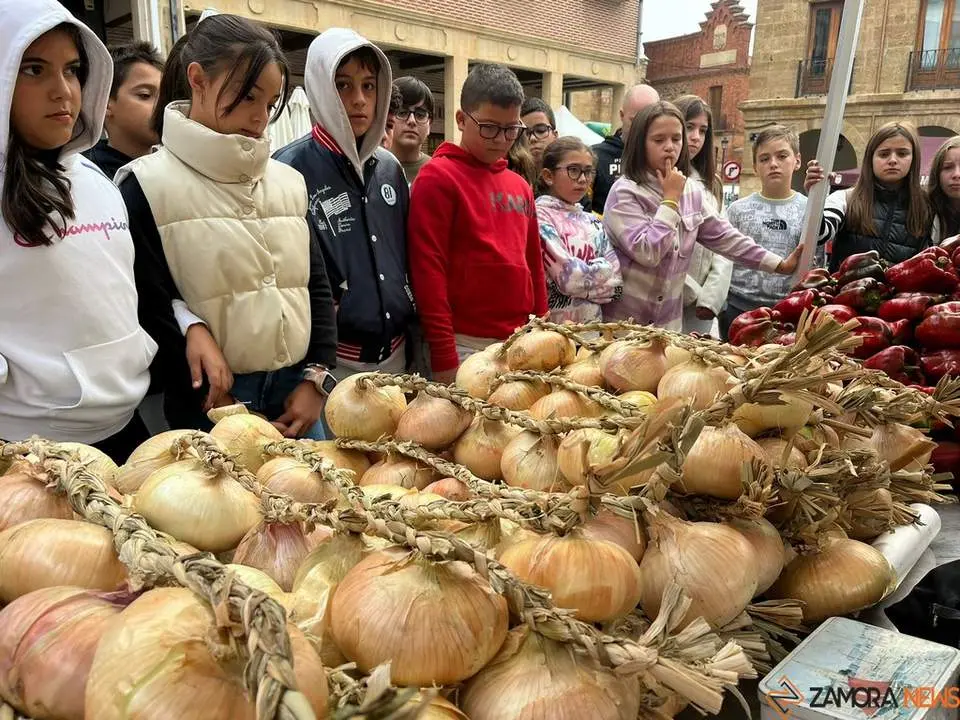 Feria del Pimiento en Benavente_30