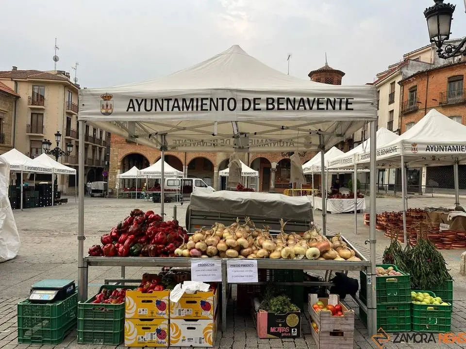 Feria del Pimiento en Benavente_31