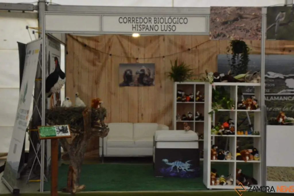 Zamora en Naturcyl 2024_28