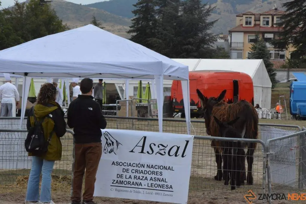 Zamora en Naturcyl 2024_43
