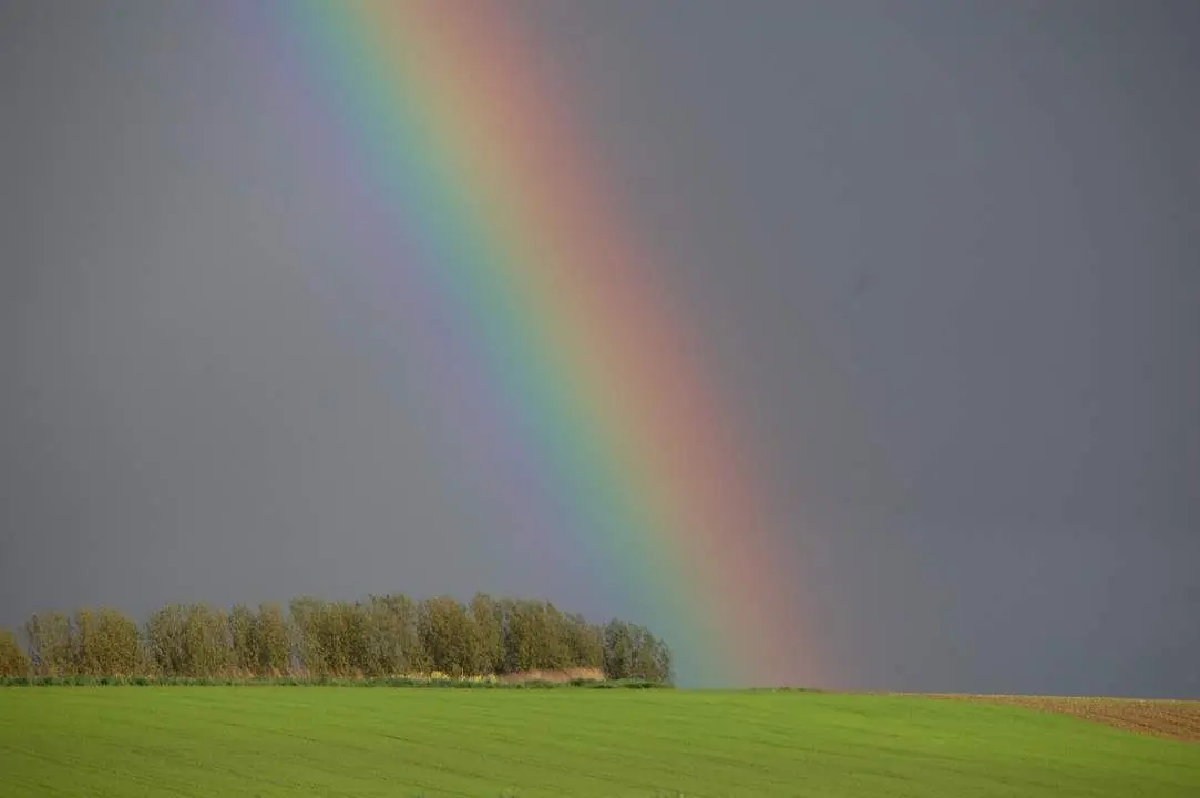 Arco Iris Archivo