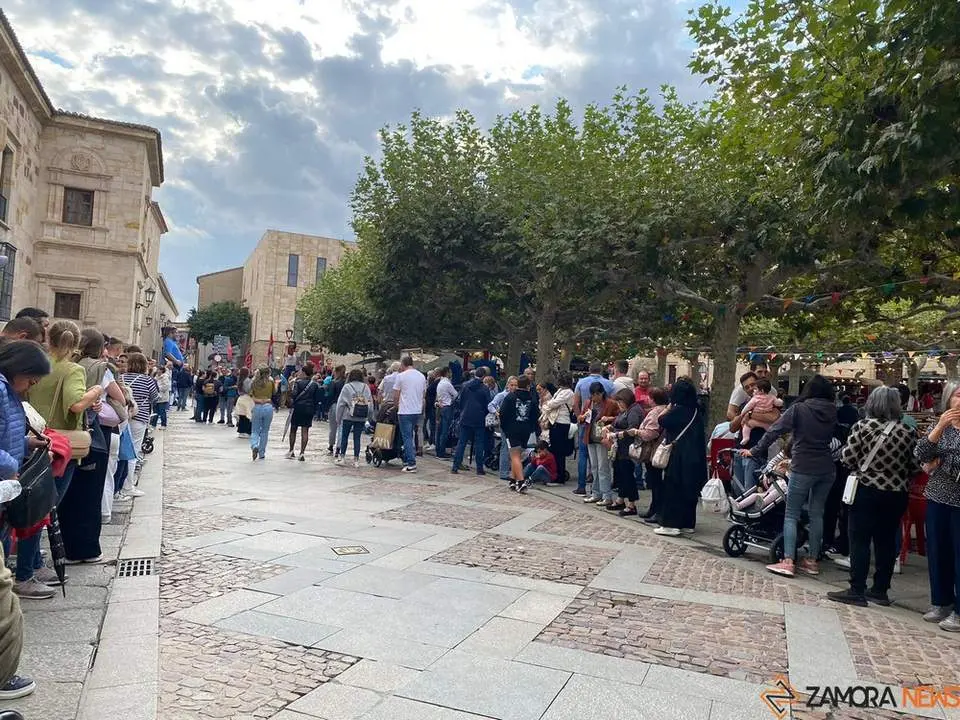 cabezudos y gigantes zamora _15