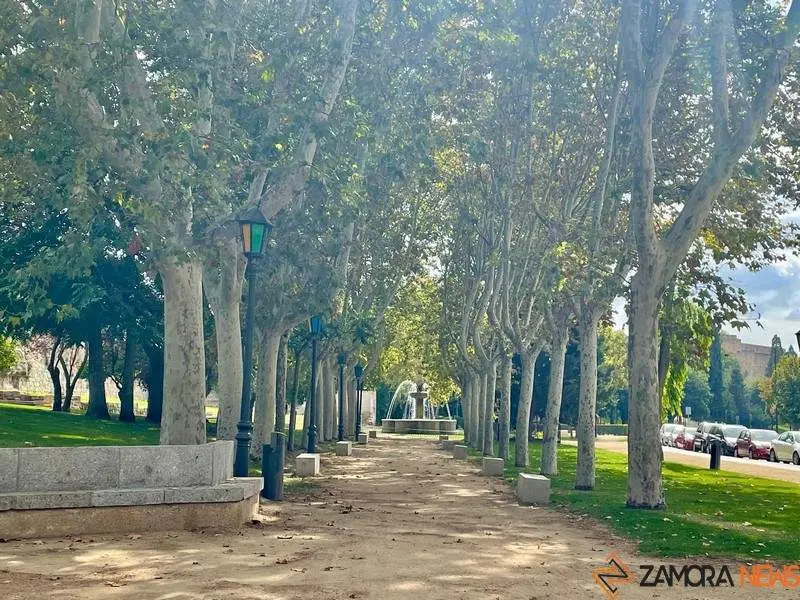 Zamora