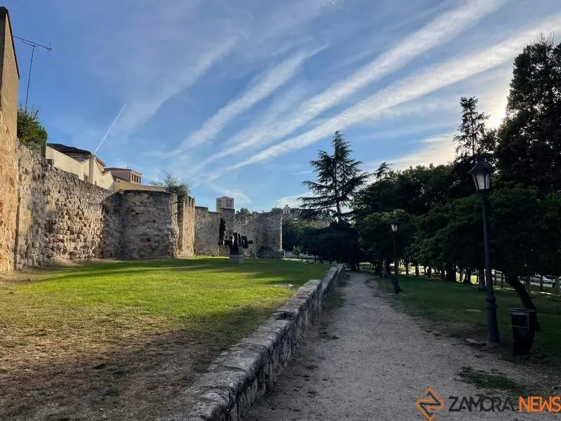 Zamora_3