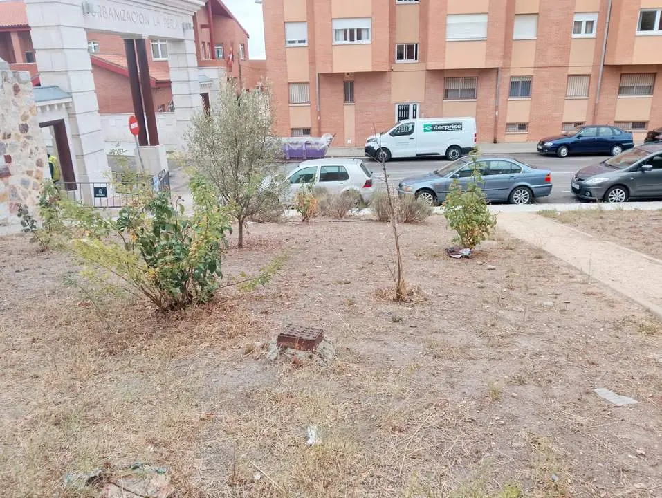 jardín muerto1