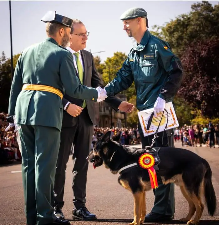Donald perro policía (1)