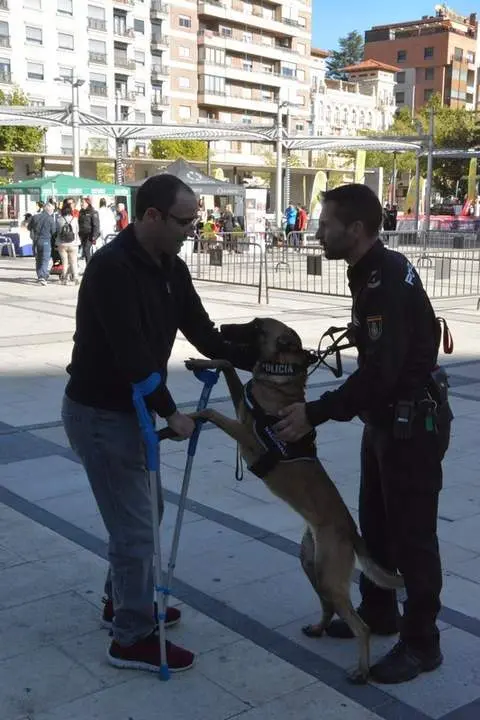 carrera policía 091_86