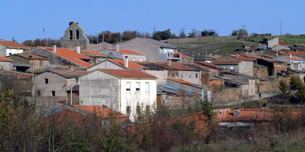Losacino