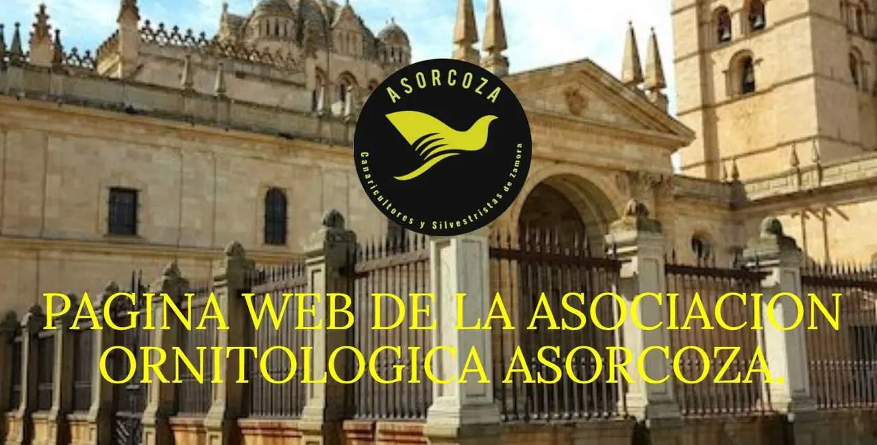 ASORCOZA ZAMORA