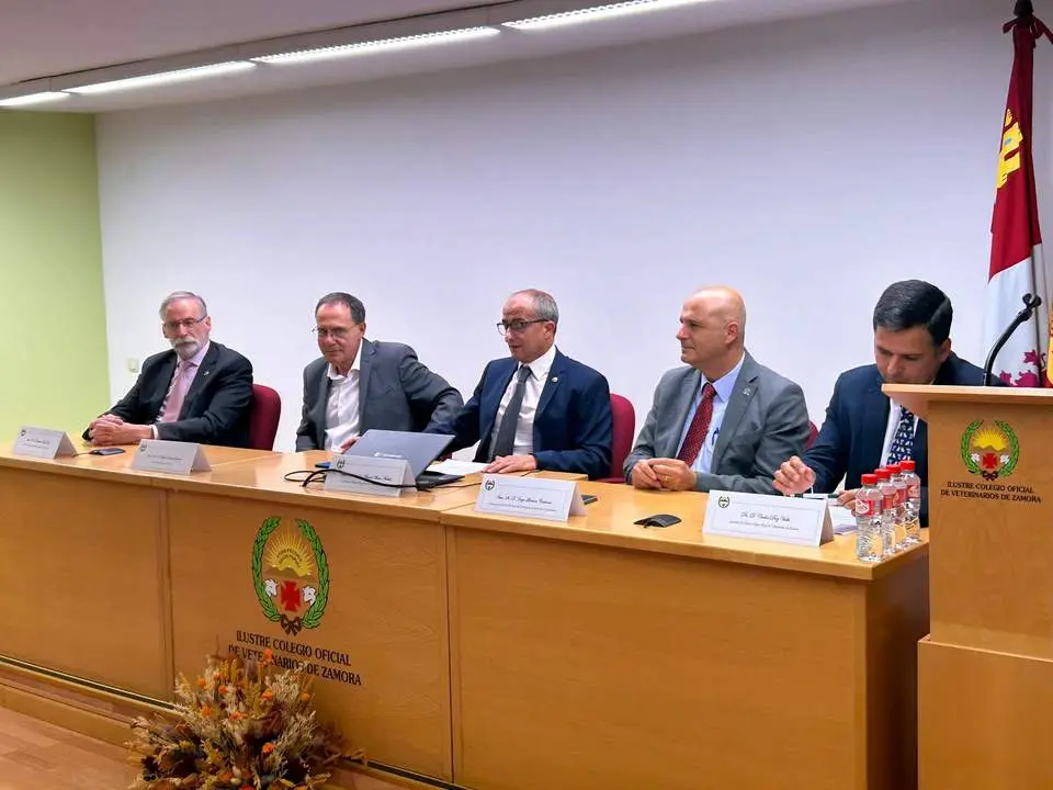 Imagen de WhatsApp 2024-10-04 a las 13.49.53_5f1110a7