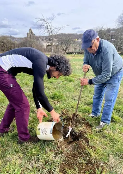 Campaña Salvemos los negrillos de CRIOSANABRIA