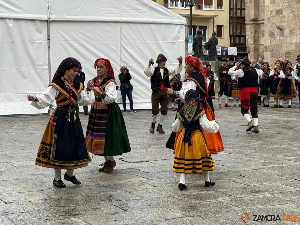 Aliste y Tras-os-Montes_18