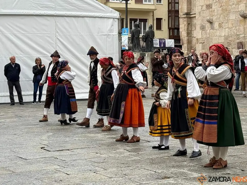 Aliste y Tras-os-Montes_19