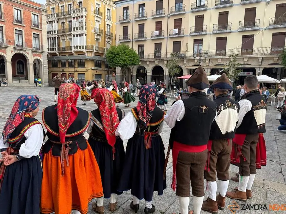 Aliste y Tras-os-Montes_28