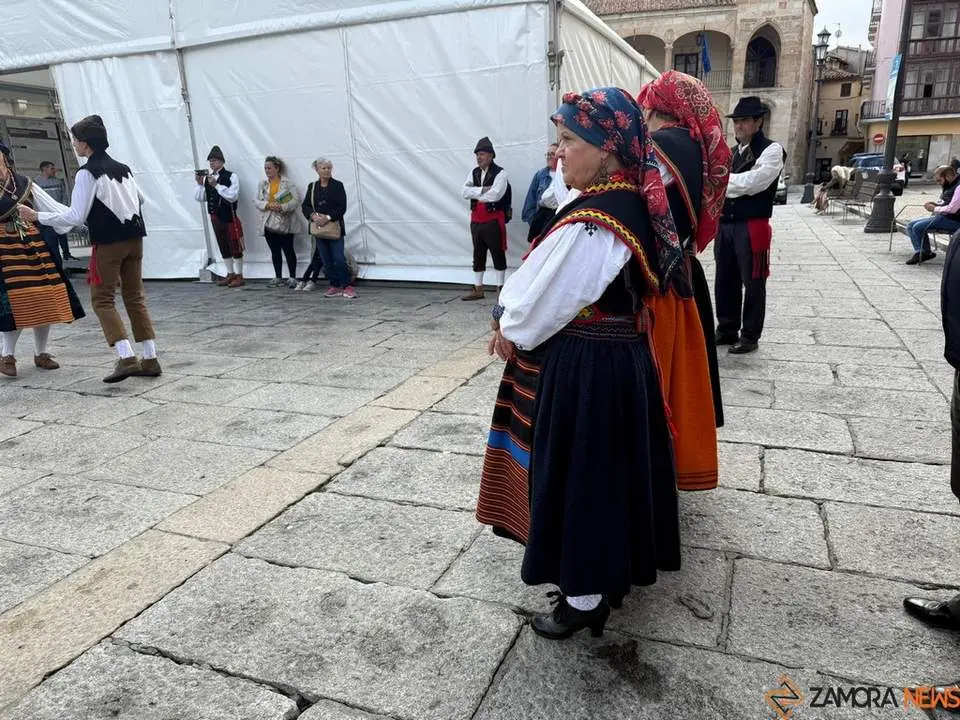 Aliste y Tras-os-Montes_31